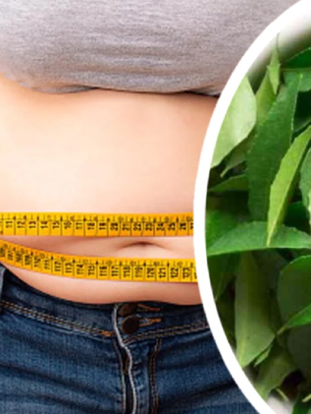 বাড়ির টবে লাগান, এই পাতার রসে হু হু করে কমে ভুঁড়ি