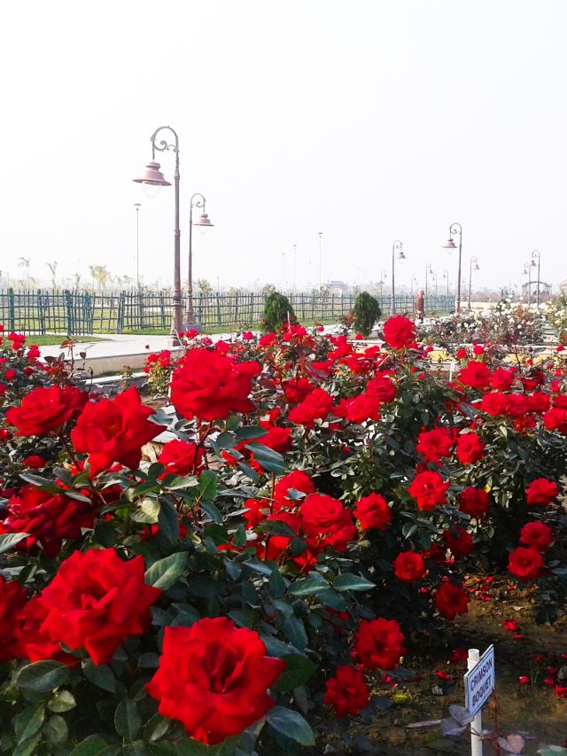 শীতে কলকাতায় ৭টি সেরা ঘোরার জায়গা