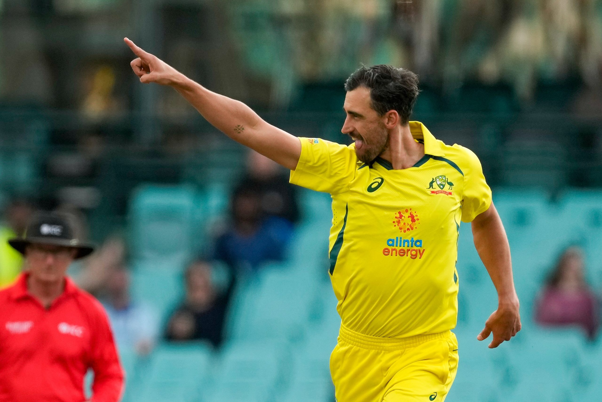Mitchell Starc, Pat Cummins, Daryl Mitchell, and more: IPL 2024 auction turns THESE cricketers into millionaires; who earned what