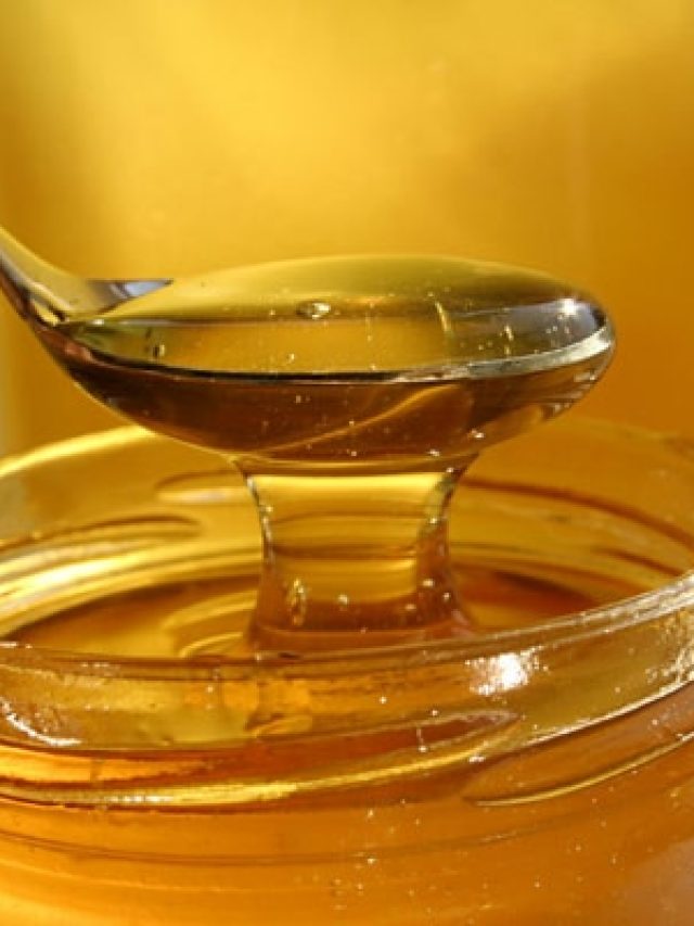 মধু আসল না ভেজাল? মোমবাতি দিয়ে বাড়িতেই টেস্ট করুন, পদ্ধতি