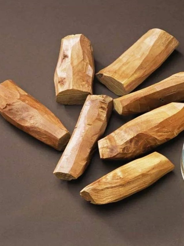 আসল চন্দন কাঠ চেনার উপায় কী? না ঠকার ট্রিকস