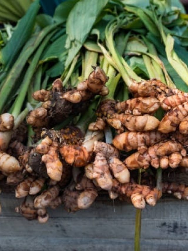 सर्दियों में गलती से भी ना भूलें इस चीज को खाना, कभी नहीं होगी जोड़ों की दिक्कत