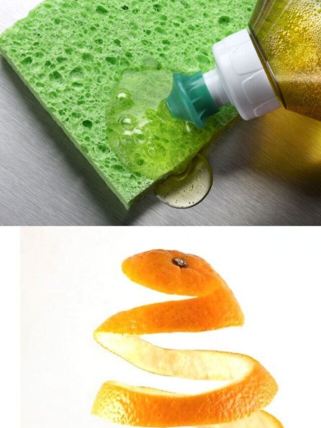 কমলালেবুর খোসা দিয়ে বানানো যায় ডিশ ওয়াশার, কীভাবে?