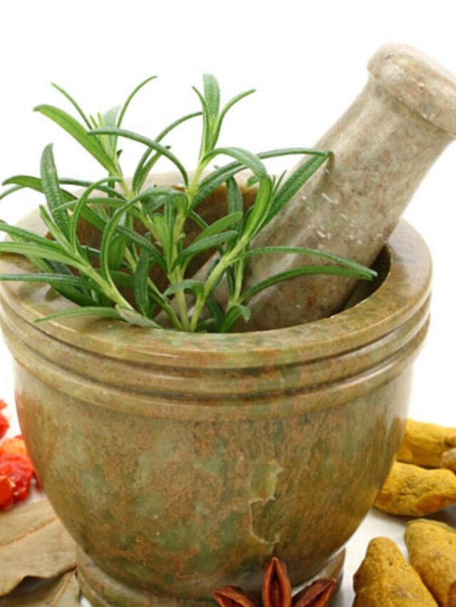 ওষুধ বাদ দিন, এই দুই পাতাই অ্যান্টিবায়োটিক