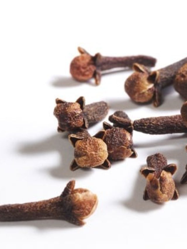 শুভ কাজে বেরনোর আগে  মুখে ফেলুন ১ টা লবঙ্গ! সাফল্য নিশ্চিত