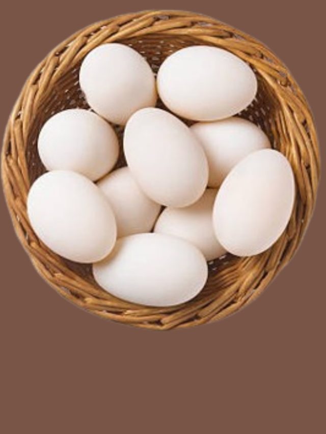 ডিম ঠিক কতদিনের পুরনো, এই টেস্ট করলে সেটাও নিমেষে বলে দেবেন