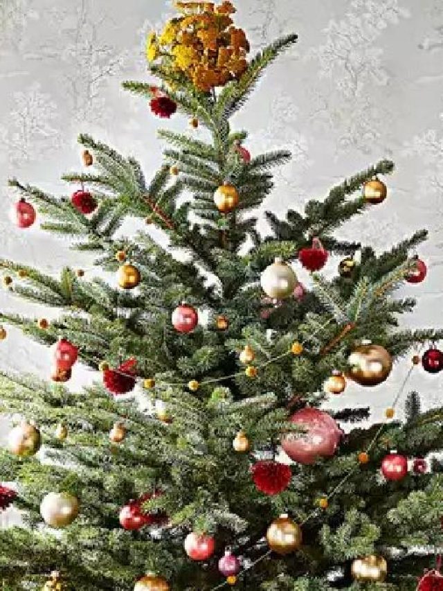 এই জিনিস দিয়ে ক্রিসমাস ট্রি সাজান,  কপাল খুলে যাবে
