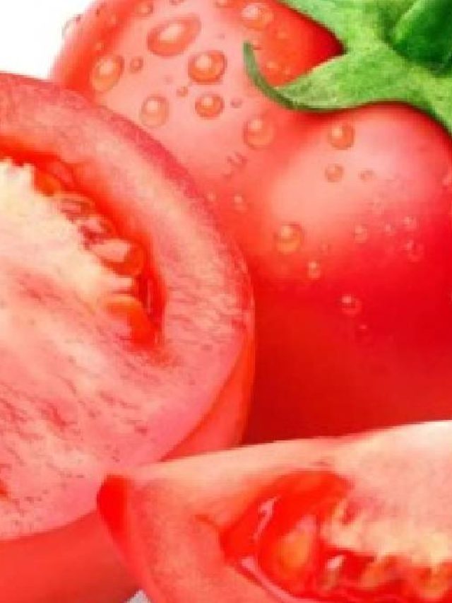 টমেটো সবজি না ফল? আসল উত্তর জানুন