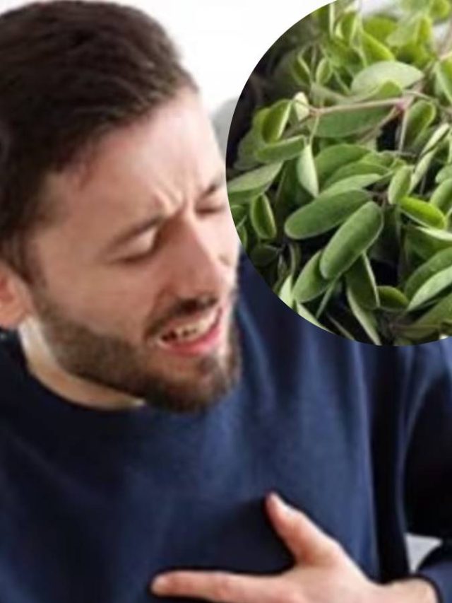 প্রেশার-কোলেস্টেরল দূরে রাখে এই পাতা, কীভাবে খাবেন