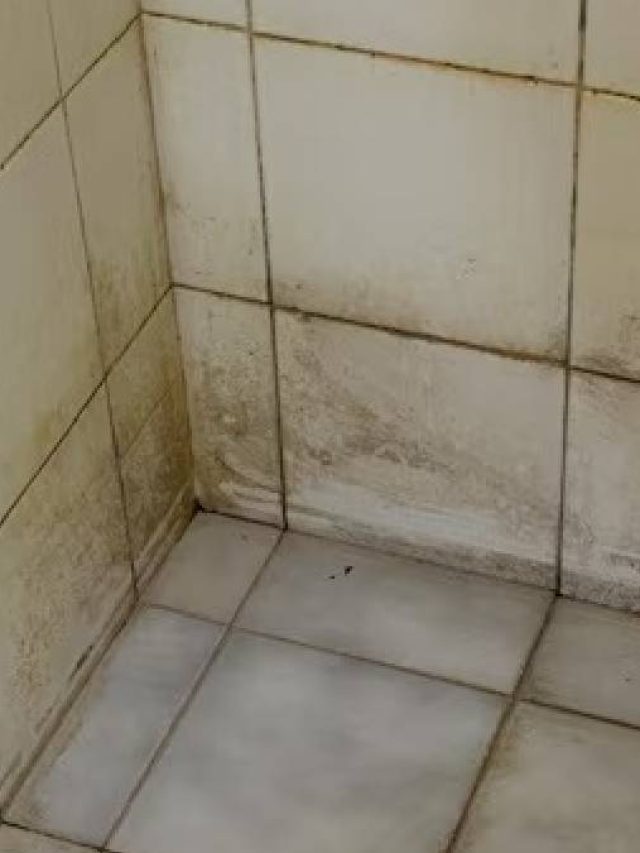 বাথরুমের সব কোণা হবে ঝকঝকে, ব্যবহার করুন এসব জিনিস