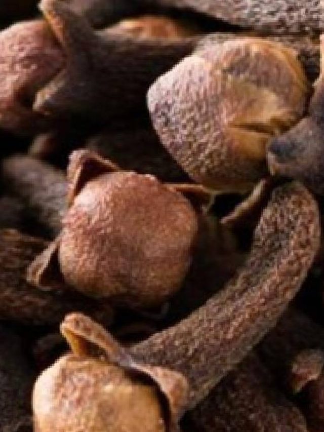 নতুন বছরে ভাগ্য বদলে দেবে লবঙ্গ, কী ভাবে?