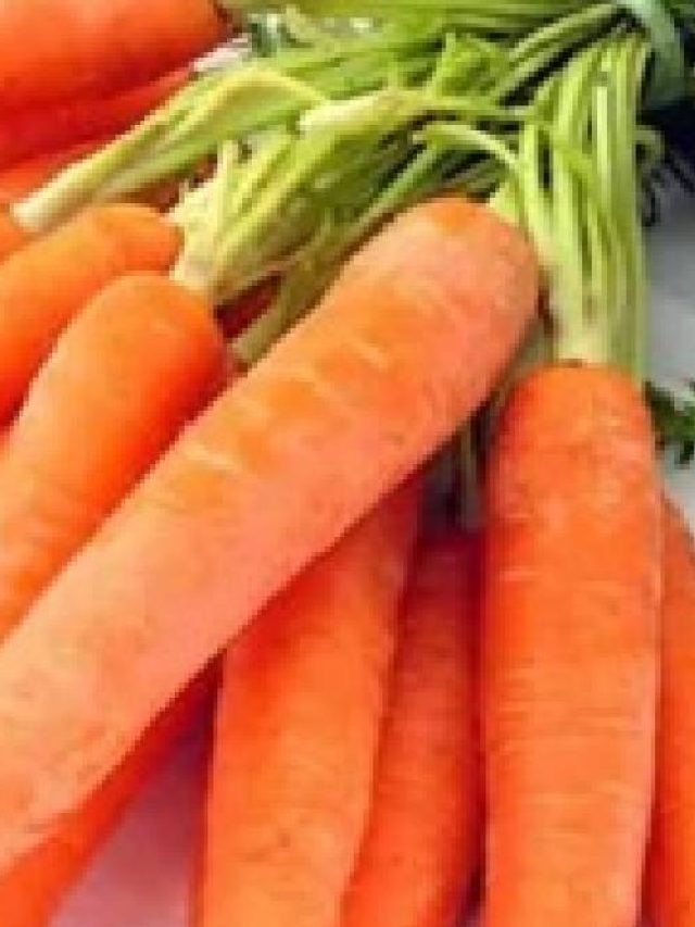 গাজর বেশি খেলে বিপদ! কী হয় জানেন?