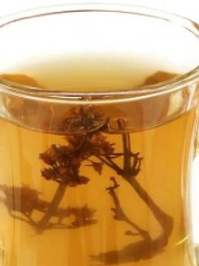 চিরতার জল খেলেই ম্যাজিক, গায়েব  হবে রোগ