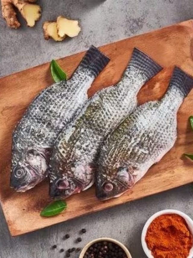 তেলাপিয়া বিদেশি মাছ, জানতেন? কবে-কোত্থেকে এল?