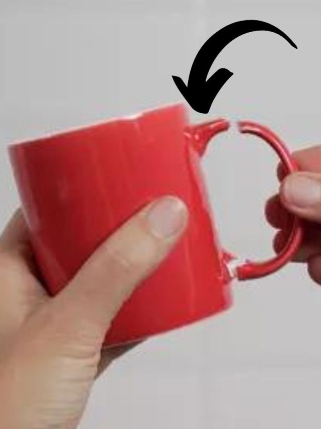 কাপের হাতল ভেঙে গেছে? ফেলে না দিয়ে এসব কাজে ব্যবহার করুন