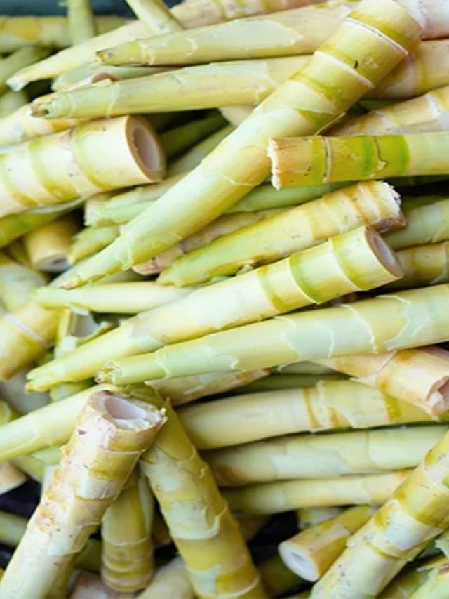 বাঁশ খেয়েছেন কখনও? এভাবে খেলে কোনও ক্ষতি নেই, উল্টে উপকার!