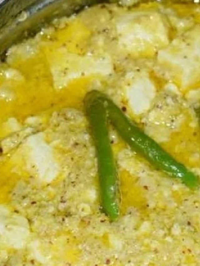 ইলিশ-ভেটকি ভাপা যাবেন ভুলে, টিফিন কৌটোয় পনির ভাপিয়ে খান