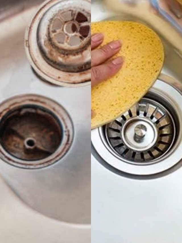 রান্নাঘরের সিঙ্ক ময়লা জমে বন্ধ? এসব ঘরোয়া উপায়ে নিমেষে সমাধান