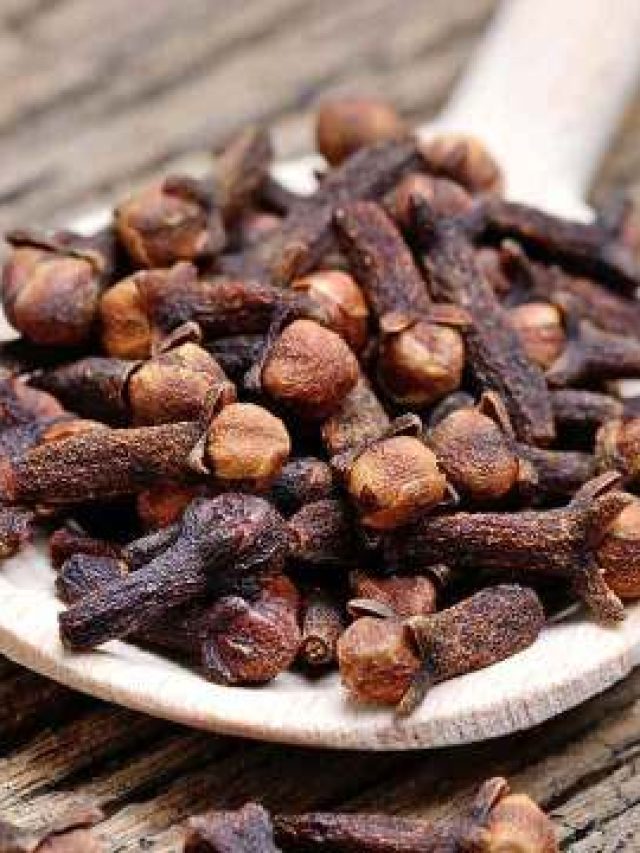 বাড়ির গামলাতেই হবে মুঠো মুঠো লবঙ্গ, এই টেকনিকে করুন চাষ