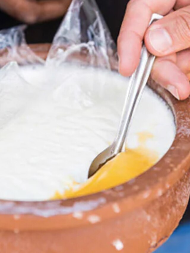 দইয়ের সঙ্গে এই ৬ খাবার একদম নয়, বদহজম-পেট ব্যথায় মরবেন