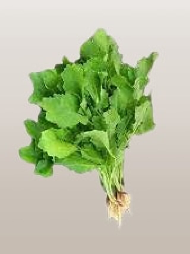 পেলেই কিনুন, শীতে গ্রাম-বাংলার এই শাক খাওয়ার উপকারিতা অনেক