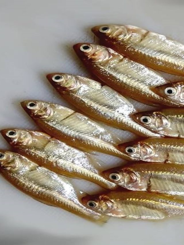 মাছ ধোয়া বাসনে বিশ্রি আঁশটে গন্ধ? এভাবে দূর করুন নিমেষে