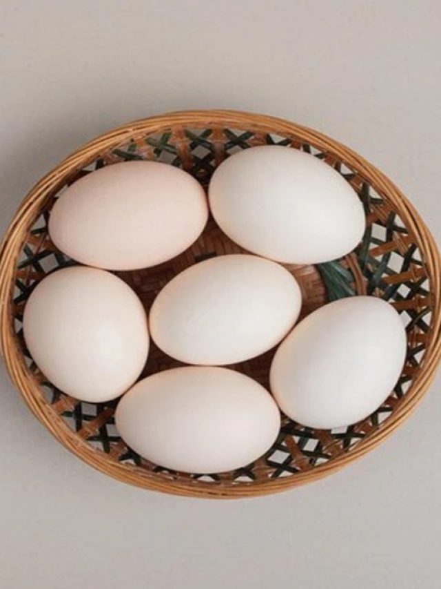 দেশের মধ্যে ডিমের দাম সবচেয়ে বেশি কলকাতায়!