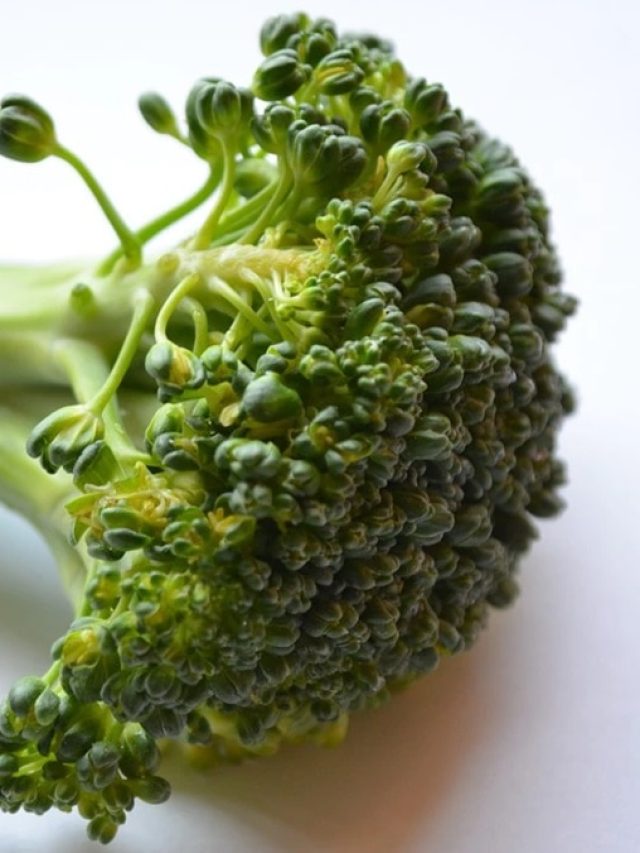 নানা রোগ সারাতে পারে এই সবজি! বাজারে এখনও পাওয়া যাচ্ছে