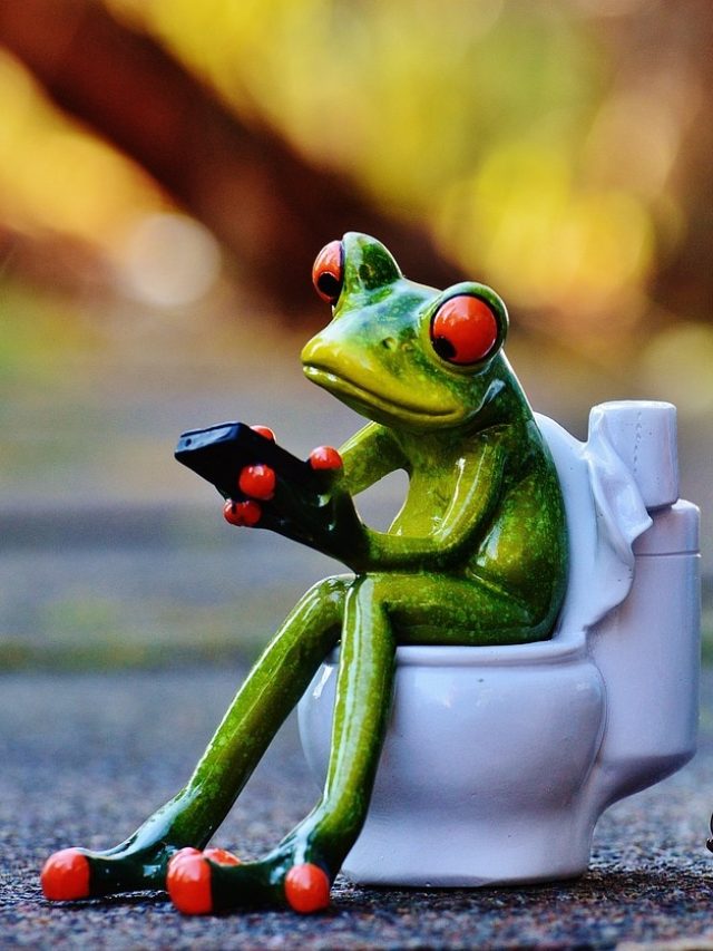 কোষ্ঠকাঠিন্য ভুগছেন? সমাধান পেতে গুগলে সবচেয়ে বেশি সার্চ হয়েছে যে খাবারগুলি