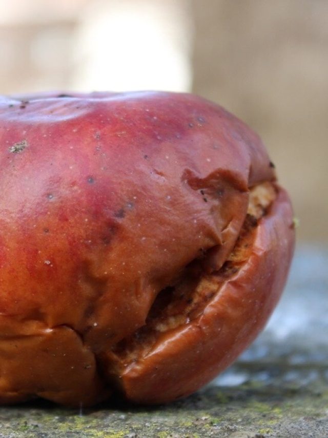 সারাদিন রাখলেও কালো হবে না আপেল, এভাবে রাখুন