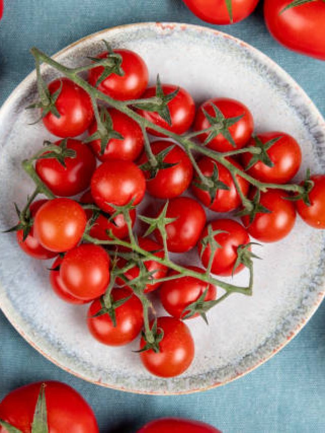 শরীরে এই ৫ সমস্যা থাকলে টমেটো বিষের মতো, একদম ছোঁবেন না