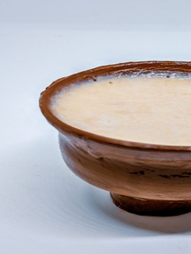 মাইক্রোওয়েভে বানান নবদ্বীপের স্টাইলে লাল ক্ষীর দই, দোকানের দিকে ফিরেও তাকাবেন না!