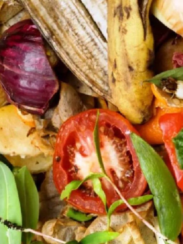 সবজির খোসা ফেলে দেন নাকি? গাছের খাবার তৈরি করুন, রেসিপি