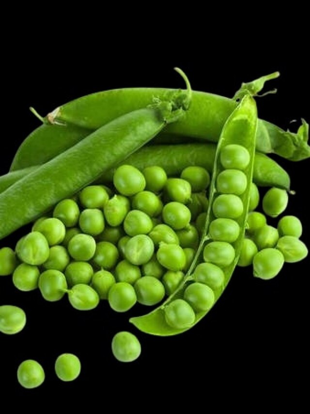 ১ কেজি মটরশুঁটি ছাড়াতে লাগবে মাত্র ১০ মিনিট, রইল সহজ উপায়