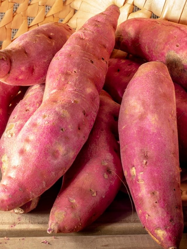 শীতে মিষ্টি আলুর চোখা বানাবেন? এই উপকরণ দিলে আঙুল চাটবেন