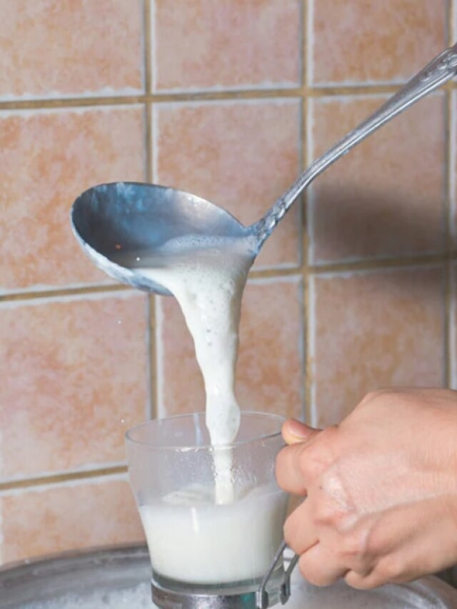 দুধে রান্নাঘরের এই মশলা দিলেই লাভ হবে 'দ্বিগুণ'