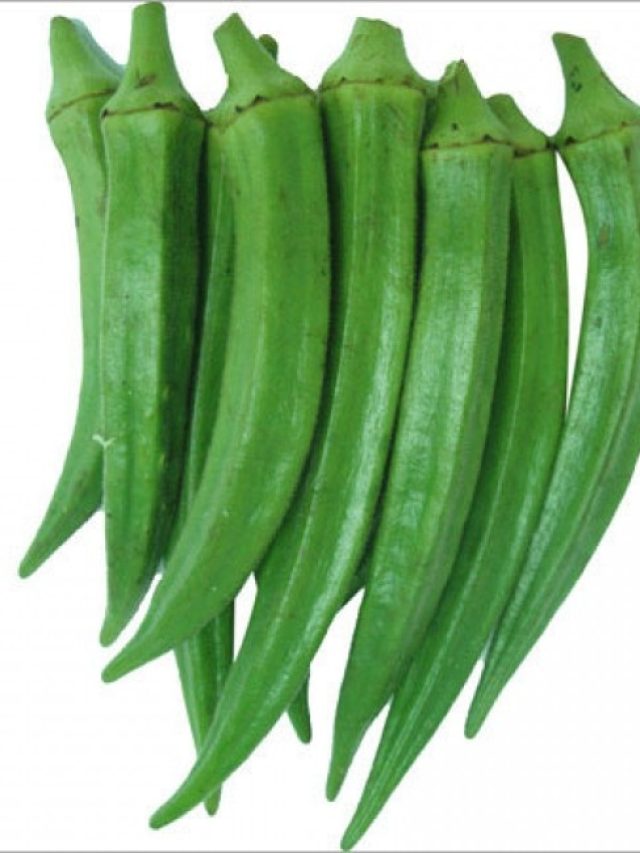 মাথায় লাগান ঢ্যাঁড়শের জল, টাক ভরে চুলের বাগান হবে