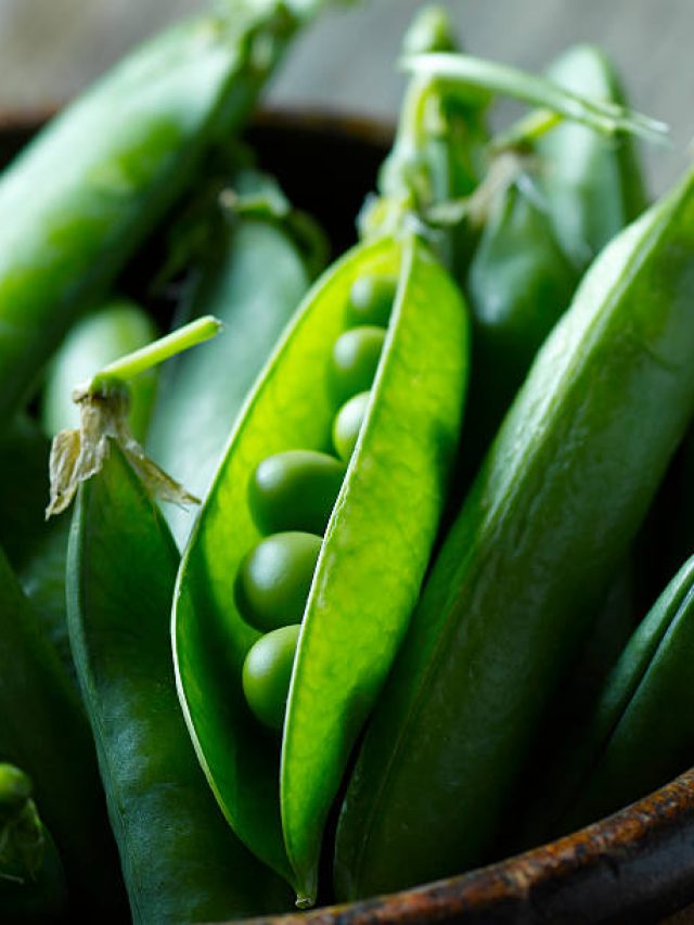 কড়াইশুঁটির খোসার চাটনির বানিয়ে খান এভাবে! কোলেস্টেরল-হজমের সমস্যা মেটাবে