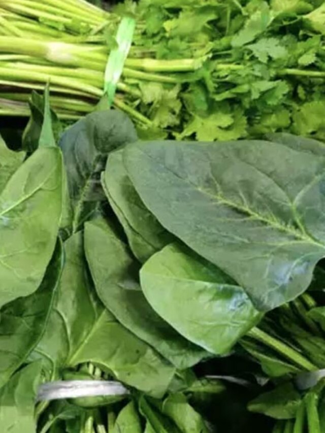 শীতে পালা করে খান এই ৫ শাক, ফিরবে যৌবন, কমবে ওজন