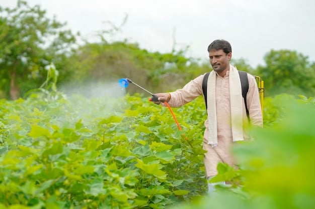 गेहूं की खेती के लिए एडवाइजरी जारी, कृषि एक्सपर्ट्स की सलाह पर ध्यान दें किसान - Agriculture scientist issued advisory for farmers related to wheat farming sslbsv