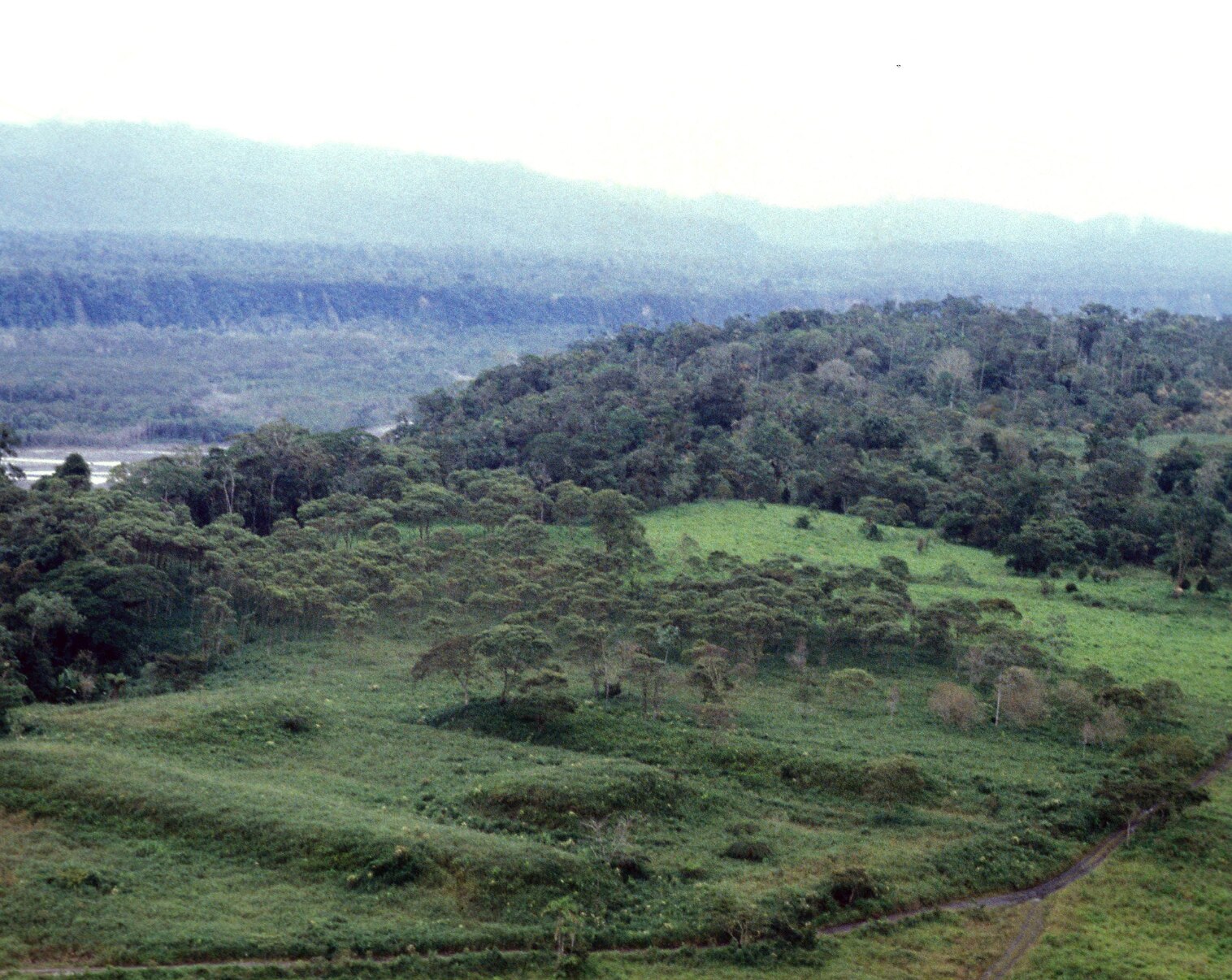 2000-year-old lost cities found in the middle of inhabitable Amazon forest - Vimarsana News