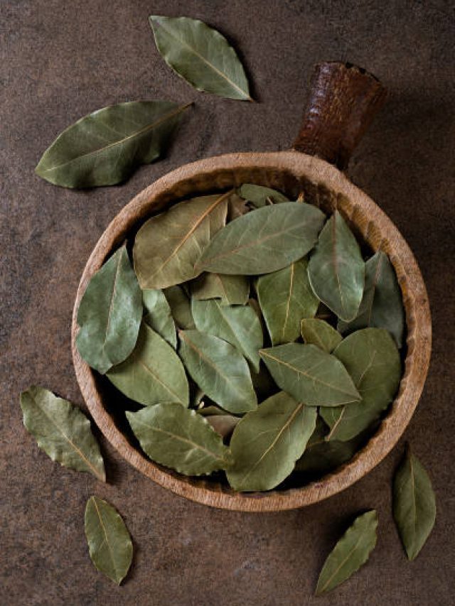 एक साथ कई  बीमारियों को दूर करता है ये खुशबूदार पत्ता, जानें इसके फायदे