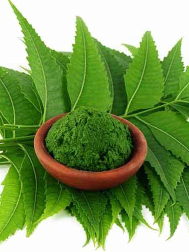 নিমপাতা খেলে সুগার কমে, কিন্তু কীভাবে খাবেন জানেন?