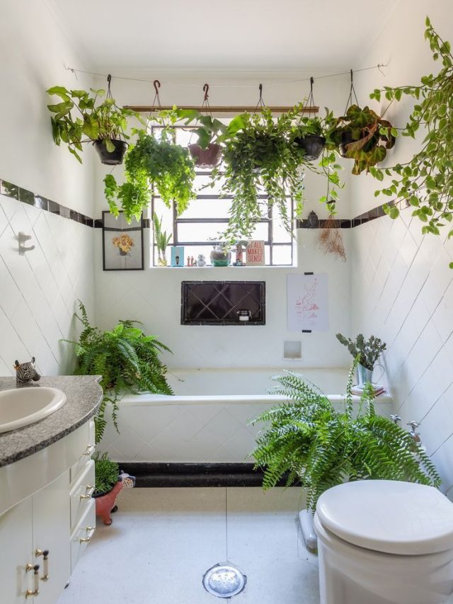 AC, কুলার ছাড়াই ঘর হবে ঠাণ্ডা, লাগান এই ৫ গাছ