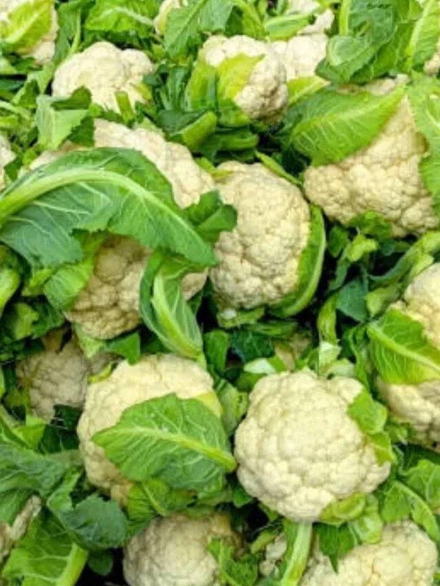 শুধু ফুলকপি নয়, ফুলকপির পাতা খেলেও মেলে এসব দারুণ উপকার