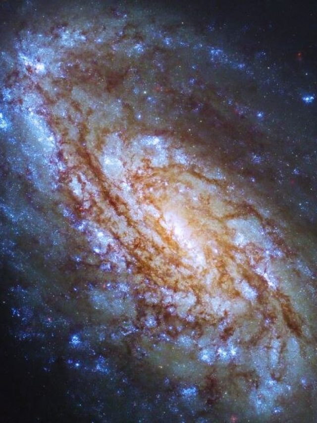 তারারাও যত আলোকবর্ষ দূরে, তারও দূরের ছবি, সৌজন্যে NASA