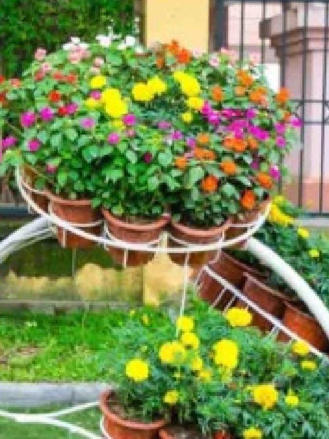 ঘরে এই ৫ ফুল  রাখলেই টাকা আসবে, জানুন