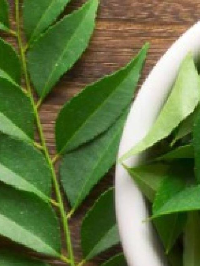 কারিপাতা খেলে শরীরে কী হয়? জেনে নিন