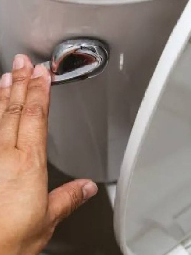 কমোডে ফ্লাশ করার সময় ঢাকা দেন না? বড় বিপদ ঘটতে পারে