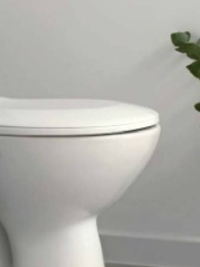 বাথরুমে প্রস্রাবের দুর্গন্ধ? এটা করলেই সুগন্ধে ভরে যাবে